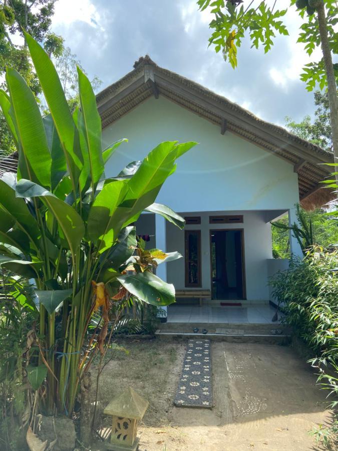 Rimba Bungalow Apartment Kuta  Luaran gambar