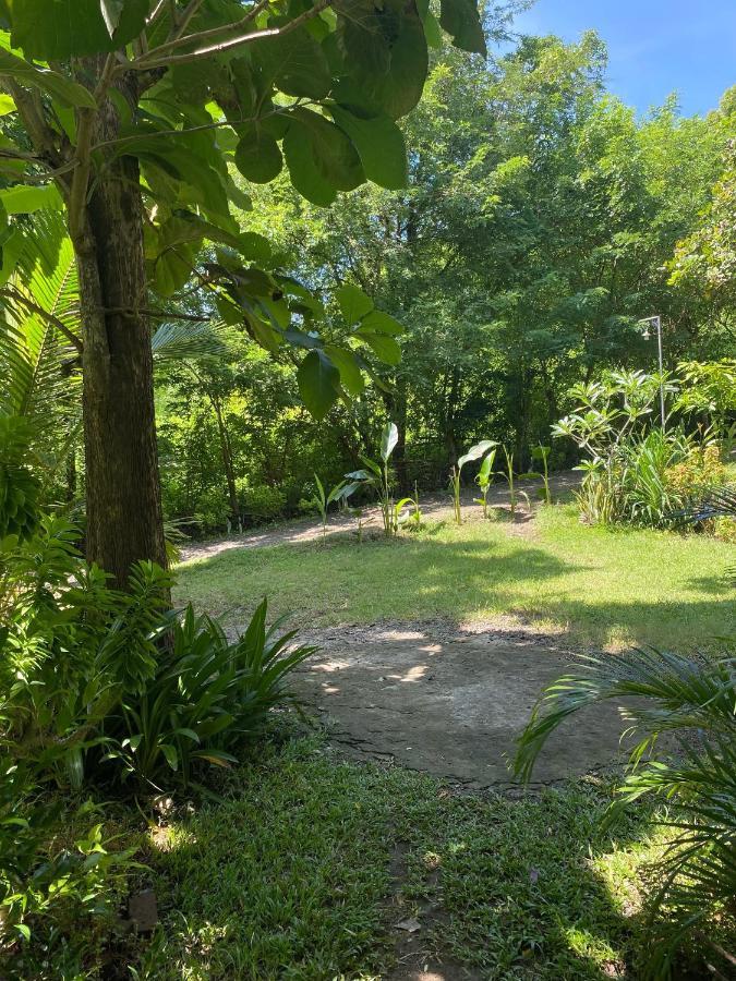 Rimba Bungalow Apartment Kuta  Luaran gambar