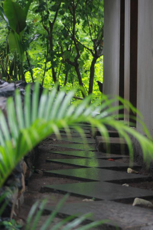 Rimba Bungalow Apartment Kuta  Luaran gambar